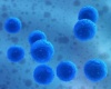 Установлен ген, который движет агрессивной формой рака молочной железы