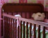 Некоторые бактерии продолжают жить на игрушках и книгах долгое время