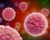 Ученые определили белок, который распространяет рак толстой кишки
